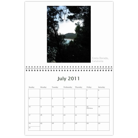 2011 12 Months By Cure Jul 2011