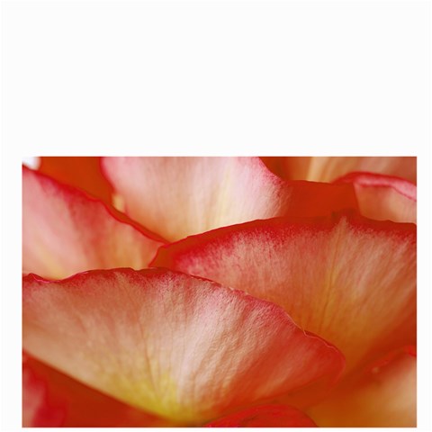 Roses By Alana Back