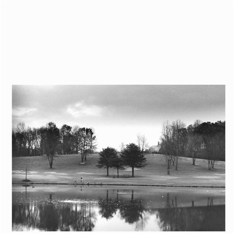 Meadowlark Gardens By Alana Front