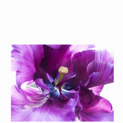 Purple Tulip By Alana Front
