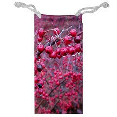 Berry Red Bag - Jewelry Bag