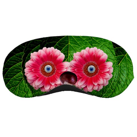 Gerbera Blue Eyes By Alana Front
