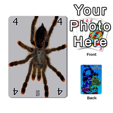 King Pest Control Front - SpadeK