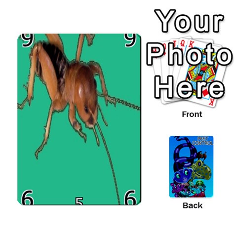Pest Control Front - Club2