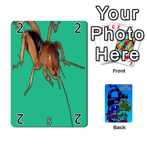 Pest Control Front - Club6