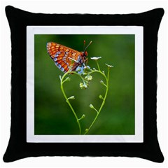 Modern Love Cushion www.CatDesignz.com - Throw Pillow Case (Black)