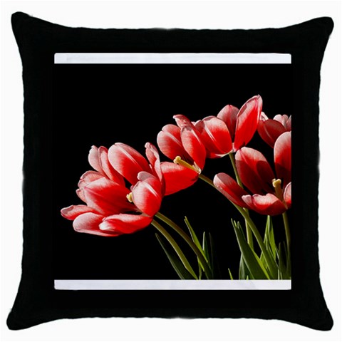 Tulips Facing Sun By Cheryl Front