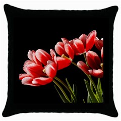 Tulips Facing Sun - Throw Pillow Case (Black)