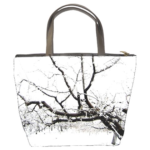 Winter/fall By Alana Back