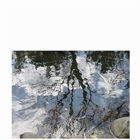 Reflection By Alana Back