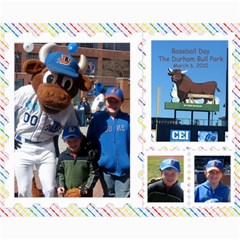 Durham Ball park 2 Collage Photos - Collage 8  x 10 