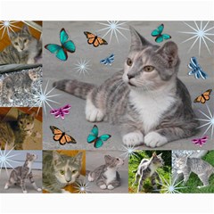 Kitty Pics #3 - Collage 8  x 10 