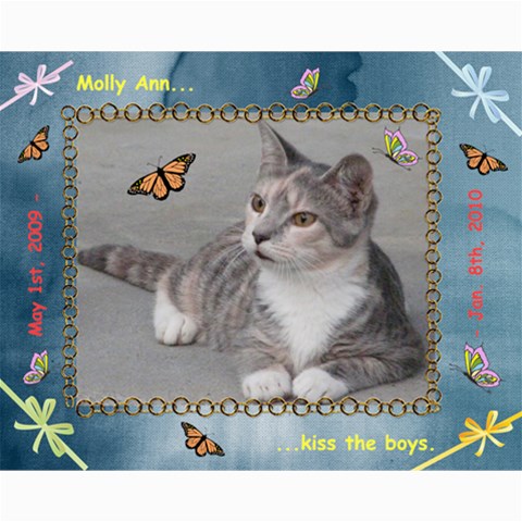 Kitten Portraits #1 10 x8  Print - 4