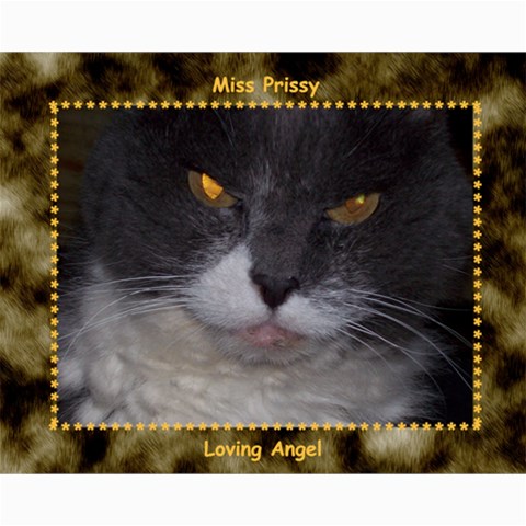 Kitten Portraits #1 10 x8  Print - 5