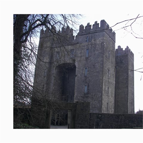 Bunratty Castle 8x10 By Terry 10 x8  Print - 1