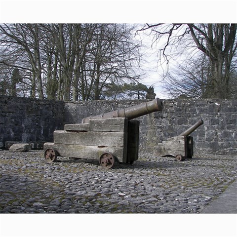 Bunratty Castle 8x10 By Terry 10 x8  Print - 3