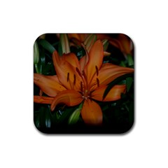 Lily Coaster 04 - Rubber Coaster (Square)