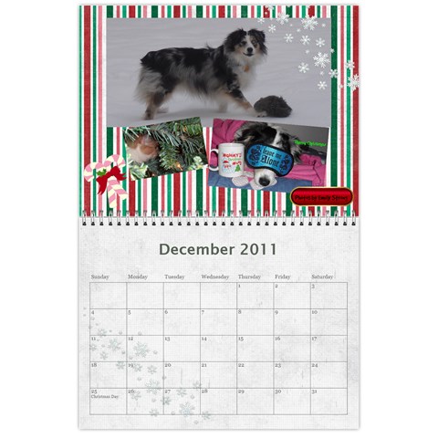 Photography Class Calendar By Nancy B Dec 2011