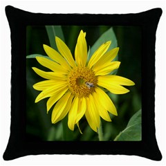 sale - Throw Pillow Case (Black)