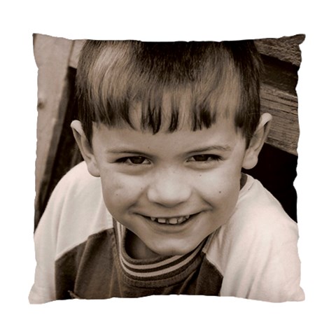 Tom Cushion By Fiona Front