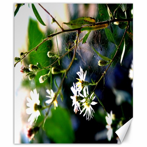 Prints On Canvas By Jessica Zellner 8.15 x9.66  Canvas - 1