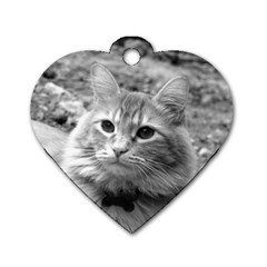 gatzby tag - Dog Tag Heart (Two Sides)