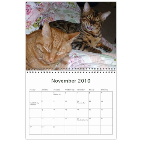 Calendar I Made For Us! By Holly Nov 2010