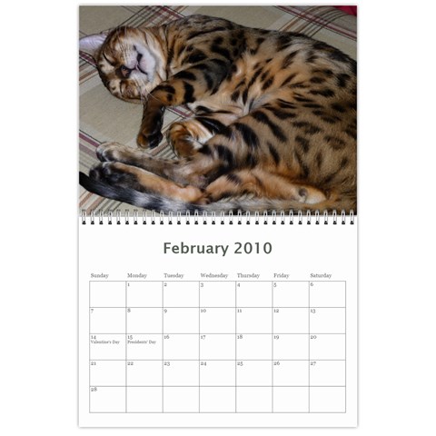 Calendar I Made For Us! By Holly Feb 2010