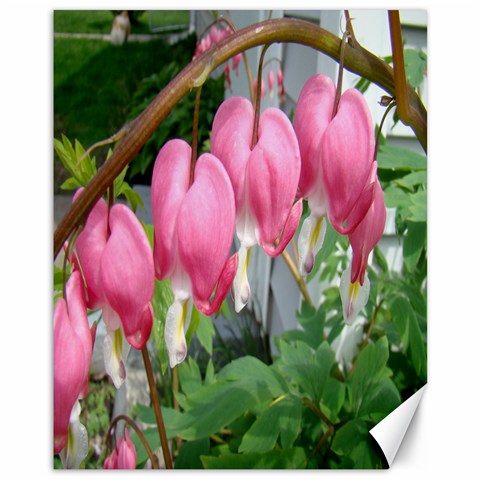 Bleeding Hearts By Angie Affeltranger Canvas