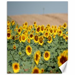 Sunflowers - Canvas 8  x 10 