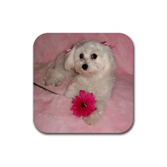 coco  - Rubber Coaster (Square)