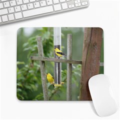 Finch Mousepad - Large Mousepad