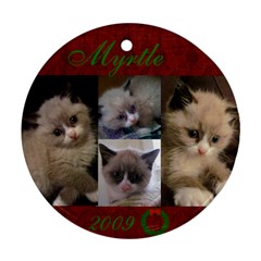 Myrtle 2009 ornament - Ornament (Round)