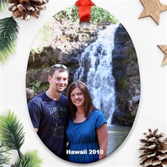 Hawaii Ornament - Ornament (Oval)