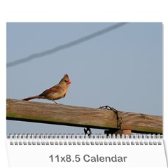 2009 Nature Calendar - Wall Calendar 11  x 8.5  (12-Months)