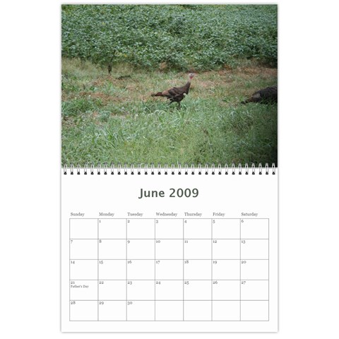 2009 Nature Calendar By Michele Sanders Jun 2009