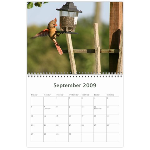 2009 Nature Calendar By Michele Sanders Sep 2009