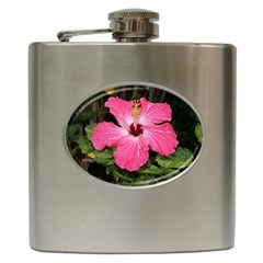 hawaii flask 1 - Hip Flask (6 oz)