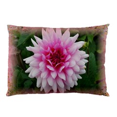 dahlia pillow case