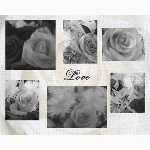 Just Pics By Amy Romero 10 x8  Print - 1