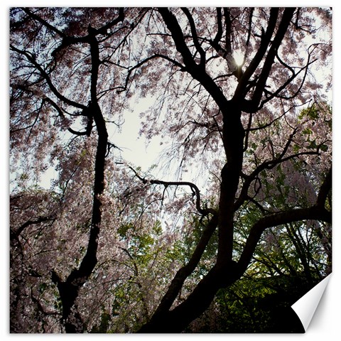 Tree 1 By Sandy Boun 19 x19.27  Canvas - 1