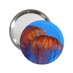 JellyFish - 2.25  Handbag Mirror