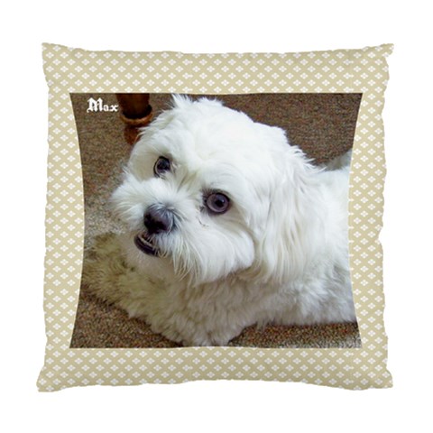 Pillow By Leigh Front