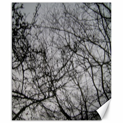 Tree Branches By Kirsten Canvas