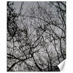 tree branches - Canvas 8  x 10 