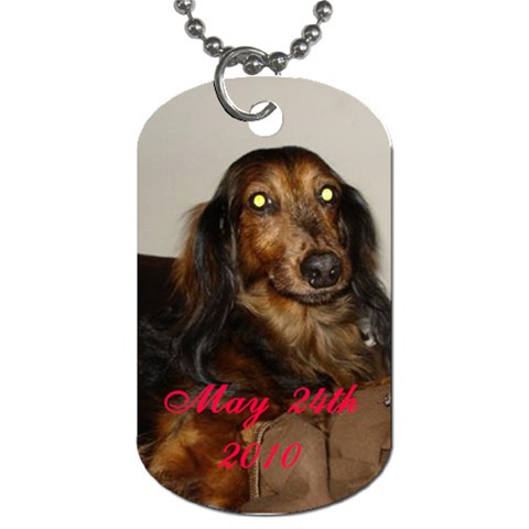 In Memory Of Rufus By Allison Back