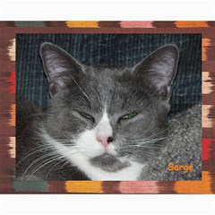 Kitty Pics #1-B - Collage 8  x 10 