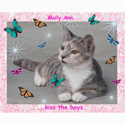 Kitty Pics #1 10 x8  Print - 4