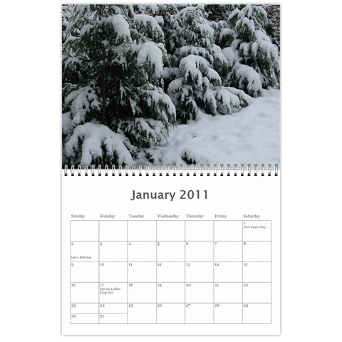 2011 Jan 2011