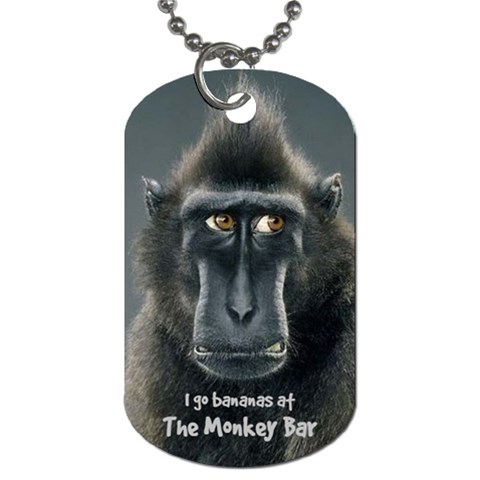 Monkey Bar Tag 13 By Debra Macv Front